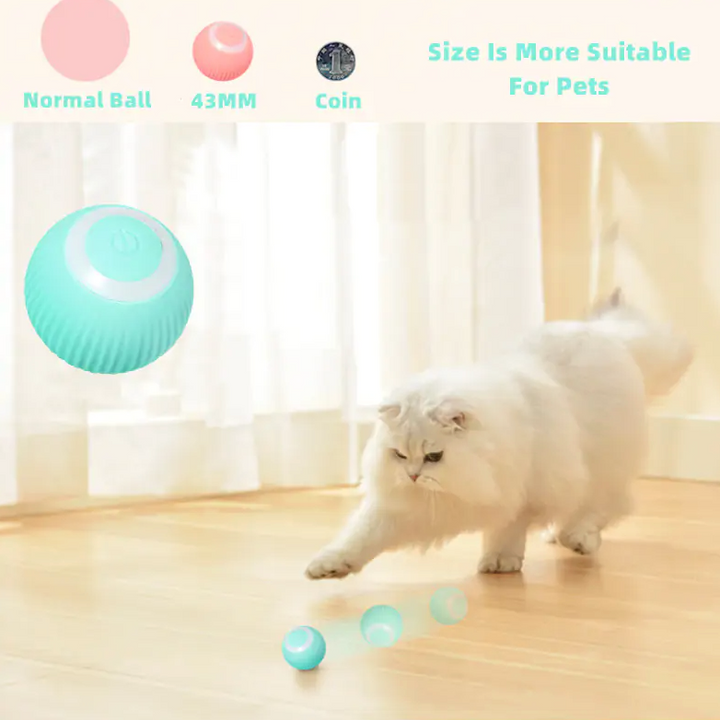 Intelligentes Katzenspielzeug in Ballform